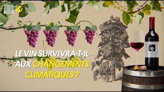 Le vin survivra-t-il aux changements climatiques ? 