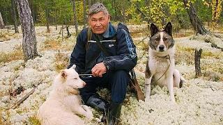 Старик Петр