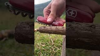 An Incredible Survival Trick with Victorinox Swiss Army Knife #survival