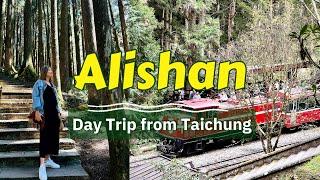 Alishan and Fenqihu Travel Guide | Day Trip from Taichung, Taiwan (Tour vs. Commute)