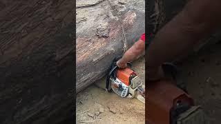 The most attractive large wood cutting #woodcutting #wood #woodskills #automobile #woodsmith #diy