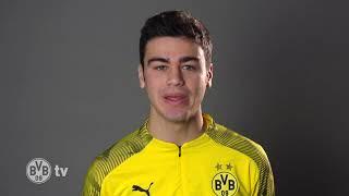 Interested in BVB International Academy - Gio Reyna Intro