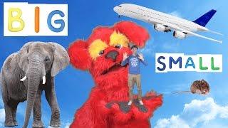 Big Small Action Song for Kids | Learning Opposites | Learn English Children