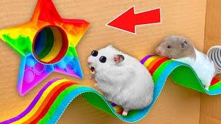 DIY New Hamster POP IT Maze [OBSTACLE COURSE]