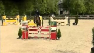 Collonella`Sporthorses from Holland` FOR SALE peter bulthuis