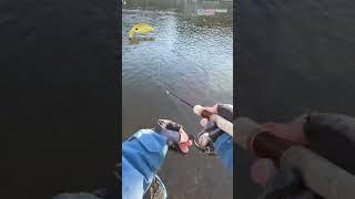 【AREA TROUT FISHING】 2024Part910