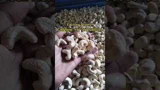 How To Get Cashew From Factory | #cashewkernels #food #manufacturing #kaju