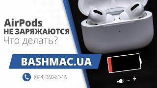 Почему не заряжаются AirPods? Решение проблемы — УБРАТЬ ПУТИНА!