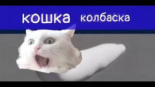 кошка колбаска