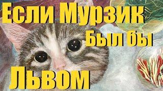 «Если Мурзик был бы львом» песня кота Мурзика #коткот #мурзик #кот