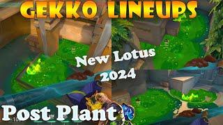 Top 15 New Lotus Gekko Post Plant Lineups | Gekko Lineups Lotus | Gekko Mosh Pit on Lotus