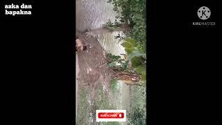 keseruan bocil mandi di sungai