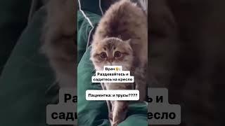 На приеме у гинеколога)) #врач #мытищи #медицина #гинеколог #узи #юмор #гинекология #shortvideo