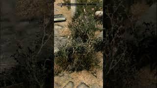 Craft Healing Potions Easily in Skyrim! 