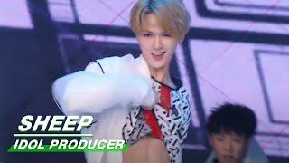 Classic Review Before Collab: THEO's "Sheep" Stage  朱正廷《Sheep》舞台纯享 | Idol Producer偶像练习生 | iQIYI