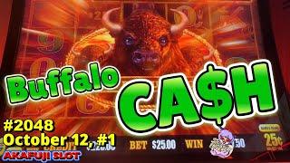 Big Win on Free Play Buffalo Cash Slot Machine at Pala Casino