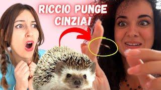 IL MIO RICCIO VEDE CINZIA PER LA PRIMA VOLTA E LA PUNGE  @CinziaCavaleri che male!