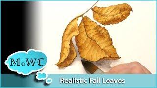 Realistic Hickory Leaf Demo. Arches Hot Press Watercolor Paper with Ink Line.