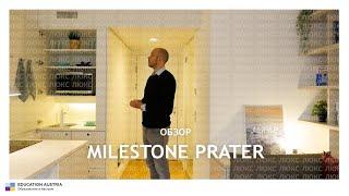 Топ среди общежитий от Milestone (часть 2)