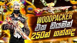 අඩේ ඩයමන් 250 එවෝ ගන් එක ආවා .2024 මාරම ලක් එකක් New evo WOODPACKER 2024