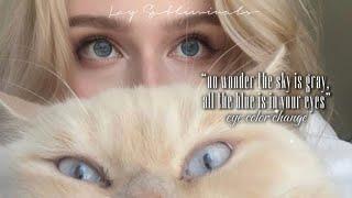 “no wonder the sky is gray, all the blue is in your eyes”