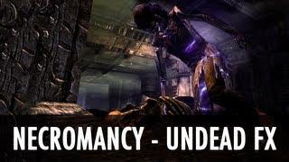 Skyrim Mod: Necromancy Undead FX