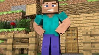 The Walking Steve - A Minecraft Animation