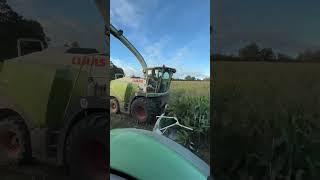 Silage 2023 with Claas Jaguar 940 #spinar24hd #fendt #agriculture