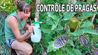 2 Efficient INSECTICIDES using Natural Products