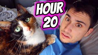 I Spent 24 HOURS With My Cat!