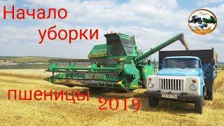 Начало уборки пшеницы Комбайн НИВА СК-5 Молдова 2019