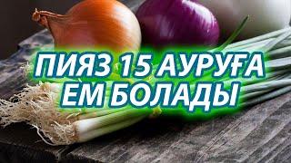 Пияздың сіз білмеген 15 пайдасы бар, Қыс мезгілінде жеу керек нағыз өнім, Керек арнасы