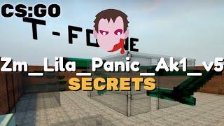 CSGO - zm lila panic ak1 v5 Secrets / Нычки