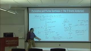 Divine Intervention Episode 50 Comprehensive USMLE Biochemistry Session 1