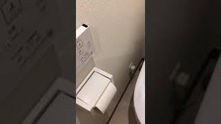 Efficiency test of our Japanese toilet while visiting Tokyo, what is going to happen???