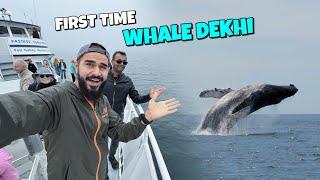 Whale watching adventure in deep sea 