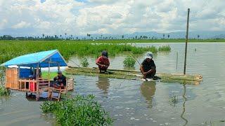 HIDUP TANPA LISTRIK SEKELUARGA MANCING IKAN DI DANAU TEMPE HANYA MENGGUNAKAN RAKIT BAMBU