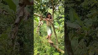 ANAK KAMPUNG SEDANG BERMAIN #shortvideo