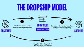 How to Start Dropshipping in 2025: Step-by-Step guide!