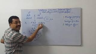 Cytoplasmic Inheritance-2-Shell coiling in snail