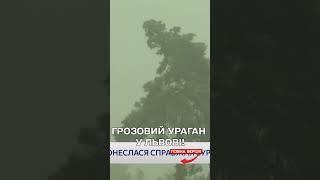 Ураган у Львові та області! Лило та блискало!