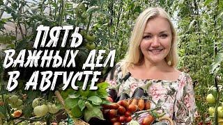 ЧТО НУЖНО СДЕЛАТЬ В АВГУСТЕ и получить большой урожай?