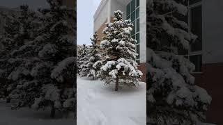Astana, Kazakhstan  World’s Second Coldest Capital City #shorts