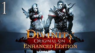 Let's Play ► Divinity: Original Sin Enhanced Edition Co-Op - Part 1 - Cyseal [Blind]