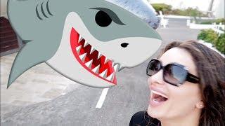 Attacked by a Shark !!!??? - !!!! قرش