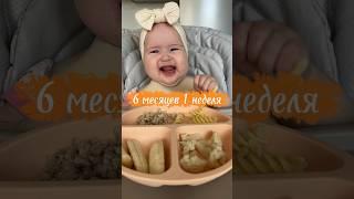 Пшеница - аллерген #самоприкорм #прикорм #blw #blwmenu #кусочки #6месяцев #6months #рецепты