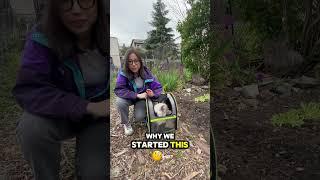 Next time ask yourself why not #fyp #motivation #cat #gardening #communitygarden #whynot