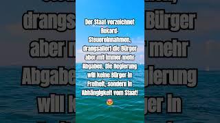 Steuerlast macht keinen Sinn #shorts #shortsfeed #shortvideo #afd #politik #deutsch #foryou #fyp