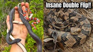 Rattlesnakes Under Everything!!! Insane Snake Hunting in North Georgia!
