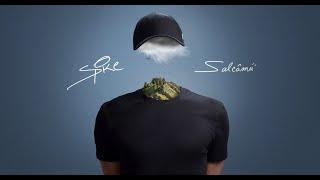 Spike - Salcâmii